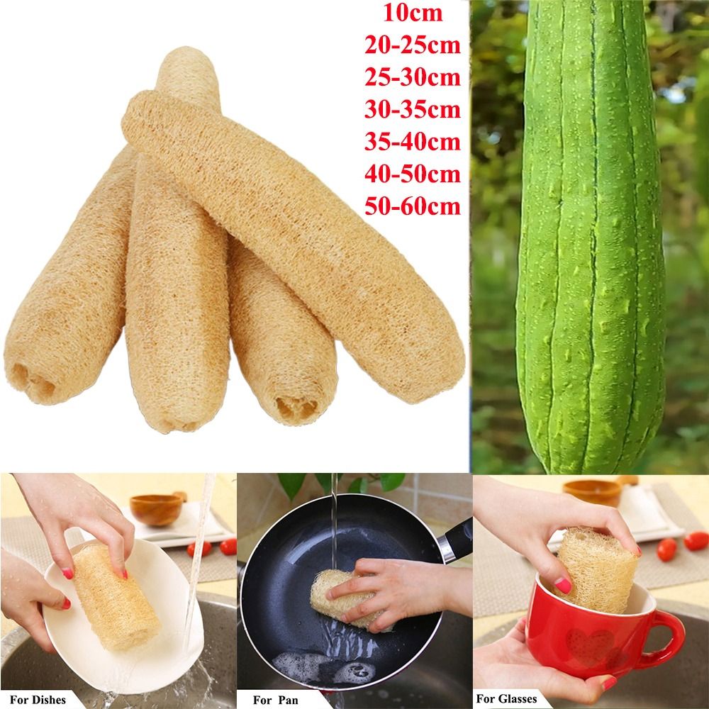 Body Loofah Natural - Esponja de Luffa Natural, Esponja Ecológica