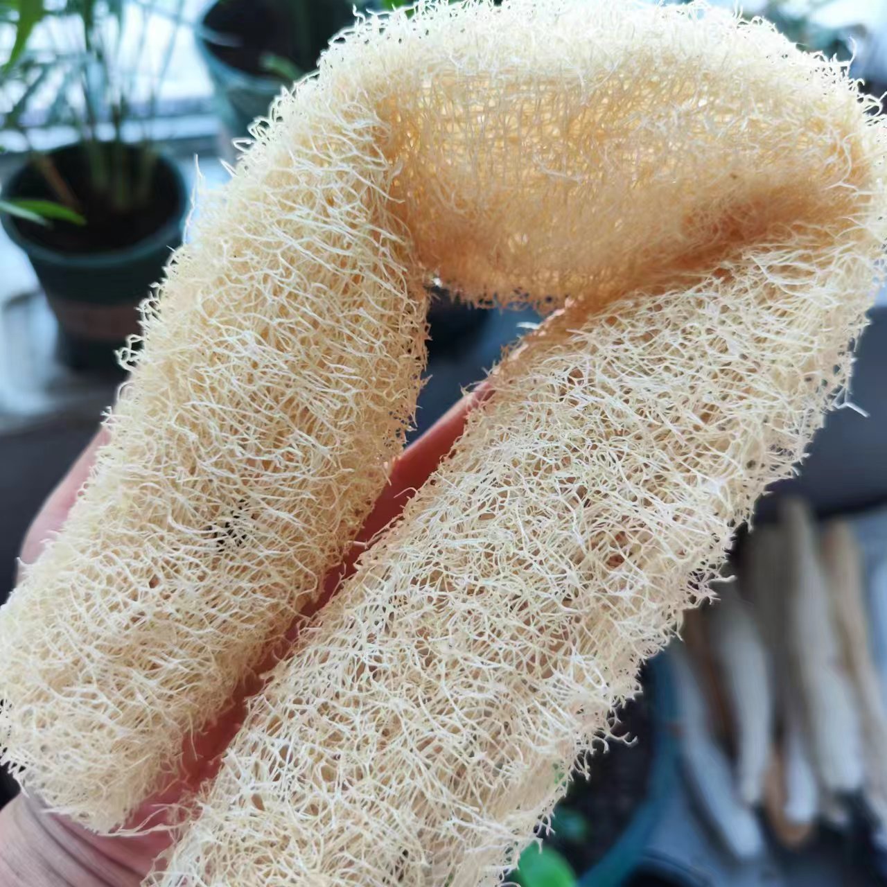 Maravillosa esponja de lufa ve - Body Loofah Natural reseña y precio